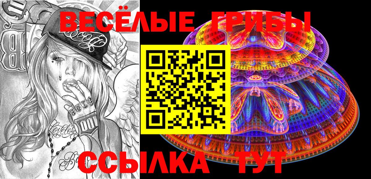 Псилоцибиновые грибы MAGIC MUSHROOMS Вязники